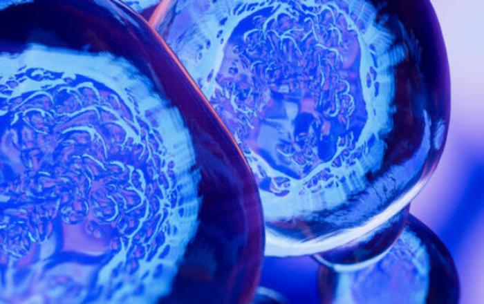 Open-ST: un nuovo metodo per creare mappe accurate dei tessuti in 3D - Comunicato stampa