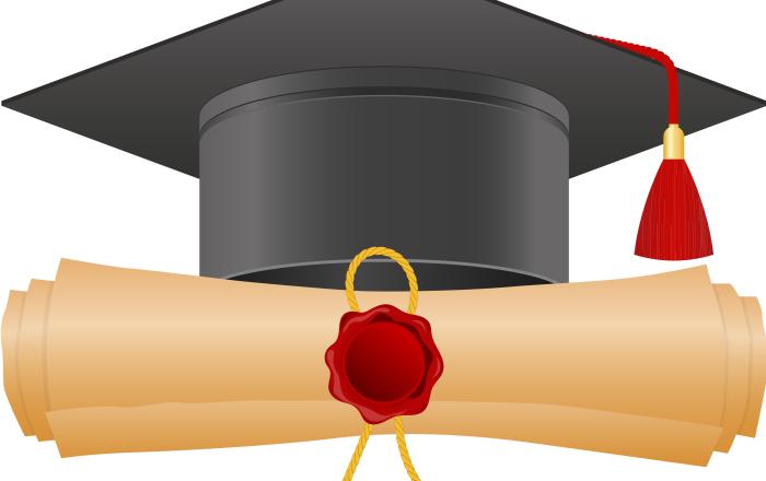 SEDUTE DI LAUREA IN MEDICINA E CHIRURGIA - SESSIONE DI MARZO 2025